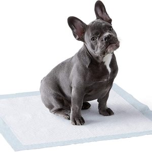 Amazon Basics Dog and Puppy Pads